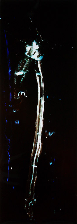 51 x 18 inches Medium: Light on photo paper Unique, © 2002