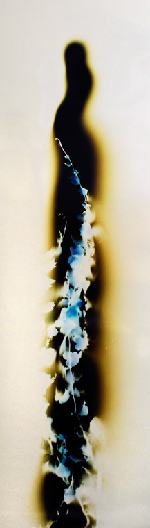 60 x 17 inches Medium: Light on photo paper Unique, © 2011